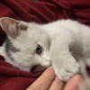 Adorable_SR