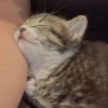 Kuuuuuuyu