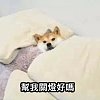呵呵