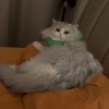 滾滾滾滾滾滾滾滾