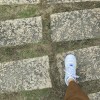 wei_0825