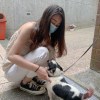瑋瑋