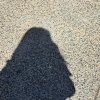 yyw