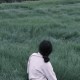 wenjing5448