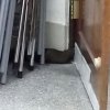 張學浦