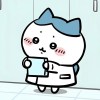 Hui