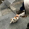 等我