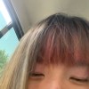 耗子