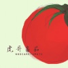 虎哥番茄Whocaretomato