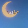pengpeng95