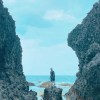李八筒