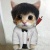 mr.木喜