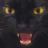 ＳＡＲＳＩ