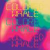 Colored Whale