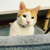 winniekitty1128