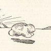 新尝寂寞熊猫