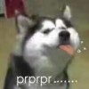 Kkkkm