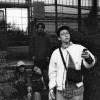 withered_band_92a