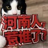wonder_skate