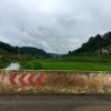 petrichor