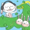 11號的wunderland