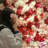 wu_pei_yun