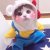 spring_frost_ua9