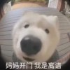理查