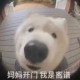 理查