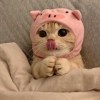 帥小薇
