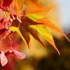 滾滾紅塵