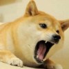 ( ⋅֊⋅ )