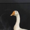 呀
