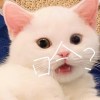 xhsyun