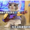 xia0yu