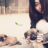 小葵。X