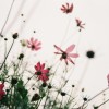 morning_