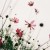 morning_