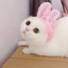 小树妹妹