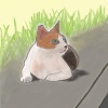 夕沐