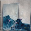 xiu_wang
