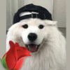 香妹嘿