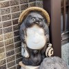 xuan_yang