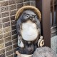 xuan_yang