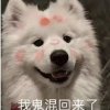 不太孤独的雪悦