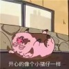 Nico姐