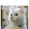 xuxiaomoo