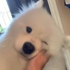 你是四季