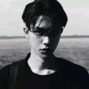 亭林镇左小龙