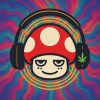 麻菇觀音🌳🍄
